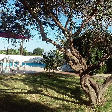 קנאלי Marieva Apartments מראה חיצוני תמונה